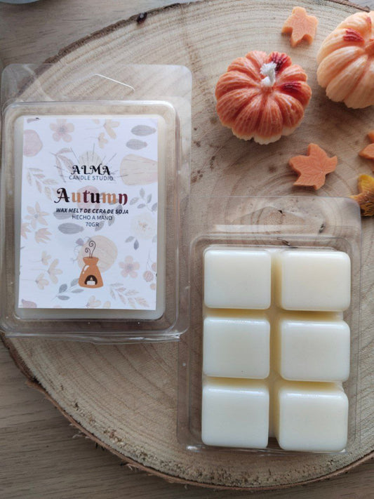 Autumn Wax Melt