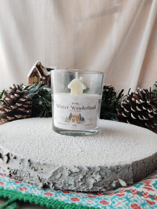 WINTER WONDERLAND